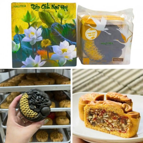 Bánh Trung Thu Bào Ngư Cao Cấp HALIFOOD Handmade Hiện Đại 2D Hộp Xanh Vali