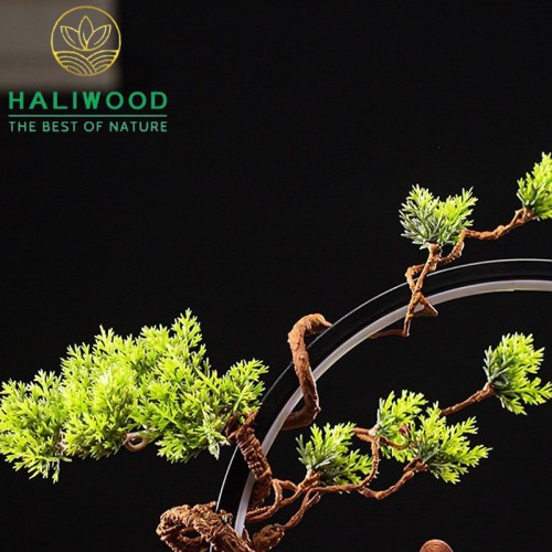 Thác Khói Trầm Hương Đèn Led Tròn Khổng Minh