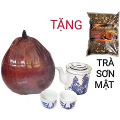 Combo Bộ Ấm Tích 400ml + 2 Chén + Trái Dừa Ủ Trà + Trà Sơn Mật...