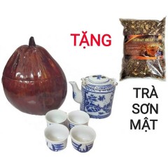 Combo Bộ Ấm Tích 600ml + 4 Chén + Trái Dừa Ủ Trà + Trà Sơn Mật...