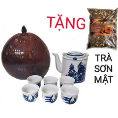 Combo Bộ Ấm Tích 800ml + 6 Chén + Trái Dừa Ủ Trà + Trà Sơn Mật...