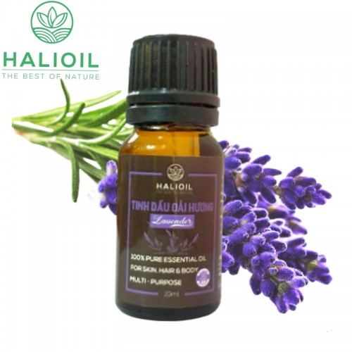Tinh Dầu Oải Hương HALIOIL - Lavender 10ml