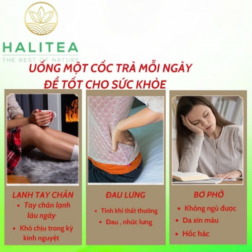 Trà Bổ Dưỡng HALITEA Túi Tam Giác Hộp Thiếc 150g/ hộp/ 25 Túi