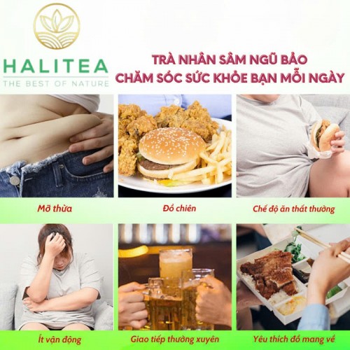 Trà Nhân Sâm Ngũ Bảo HALITEA Túi Tam Giác Hộp Thiếc 150gr/ hộp/ 25 túi 