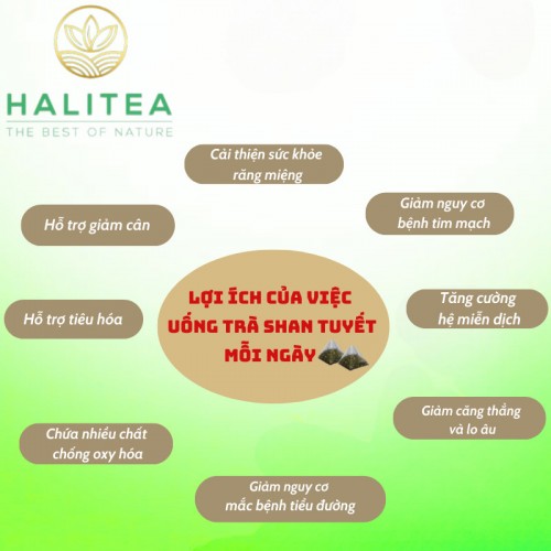 Trà Shan Tuyết Ủ Lạnh HALITEA Túi Tam Giác Hộp Thiếc 50g/ hộp/ 10 túi