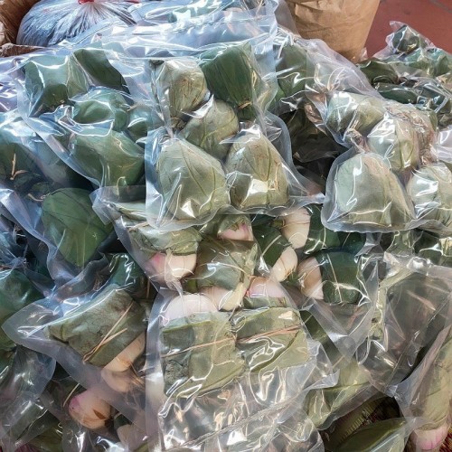 Trà Ướp Sen Tây Hồ Bông Tươi HaliTea