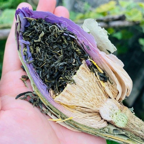 Trà Ướp Sen Tây Hồ Bông Tươi HaliTea