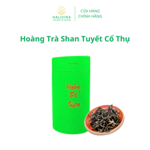 Hoàng Trà Shan Tuyết Cổ Thụ Cao Cấp Lon Xanh 50gr