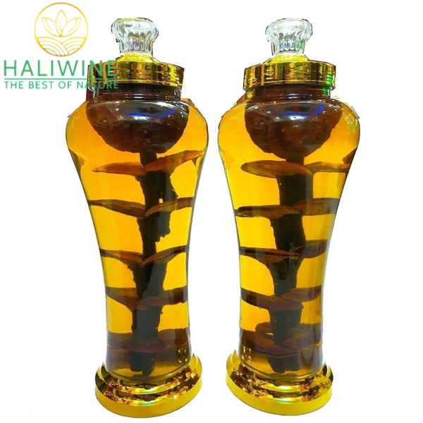 Bình Rượu Ngâm Nấm Lim Xanh 06 Lít - Ảnh 3